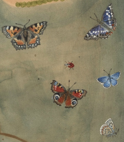 Detail Tablehurst Farm map 2022