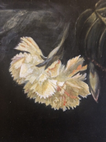 Carnation (detail dutch still life)