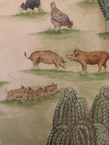 Detail self sufficient farm 2025