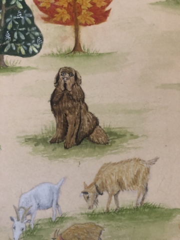 Detail self sufficient farm 2025