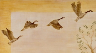 geese migrating